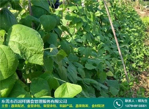 中石化加油站试用期，这几个细节别忽略
